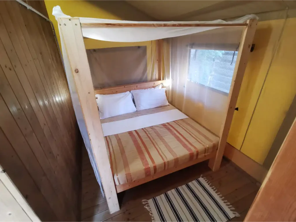 1600x1200_SAF-5x5_CAMERA-1