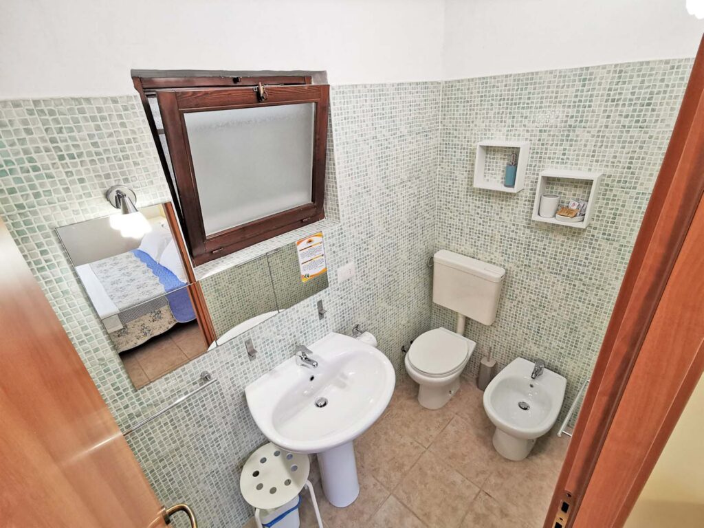 C6_1600x1200web_CACTUS-5