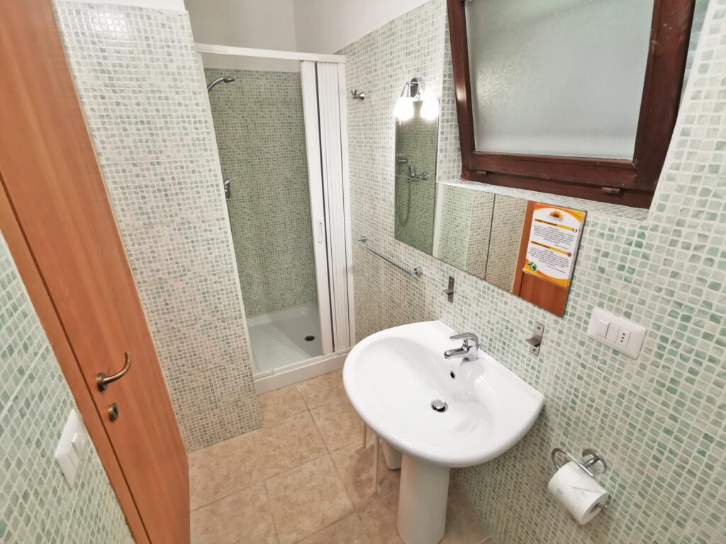 C6_1600x1200web_CACTUS-6