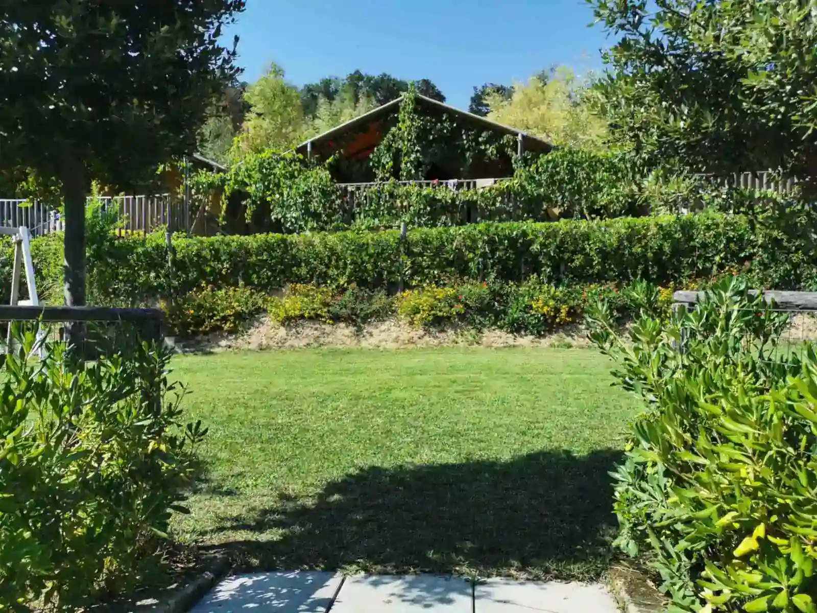 Glamping Il Girasole Village - safari tent